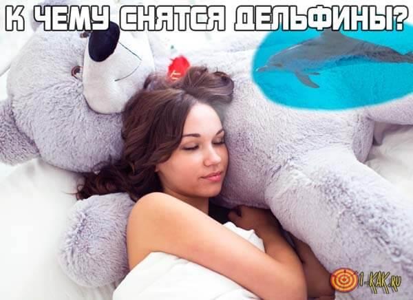 К чему снятся дельфины