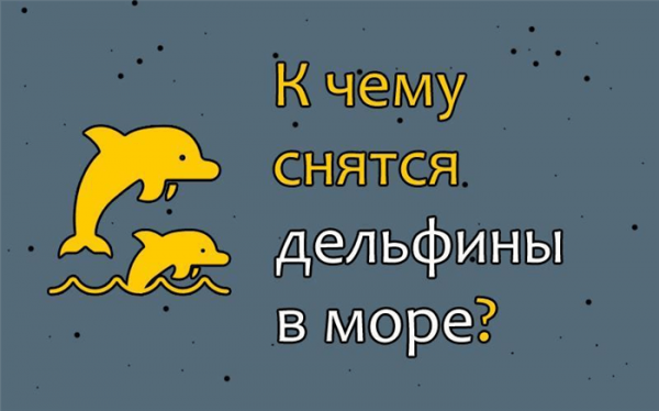 К чему снятся дельфины в море
