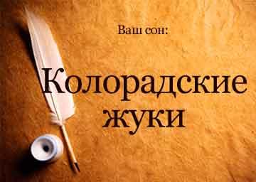 К чему снятся колорадские жуки