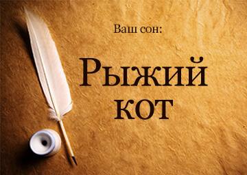 К чему снятся рыжие коты
