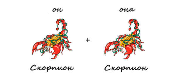 Мужчина скорпион и женщина скорпион